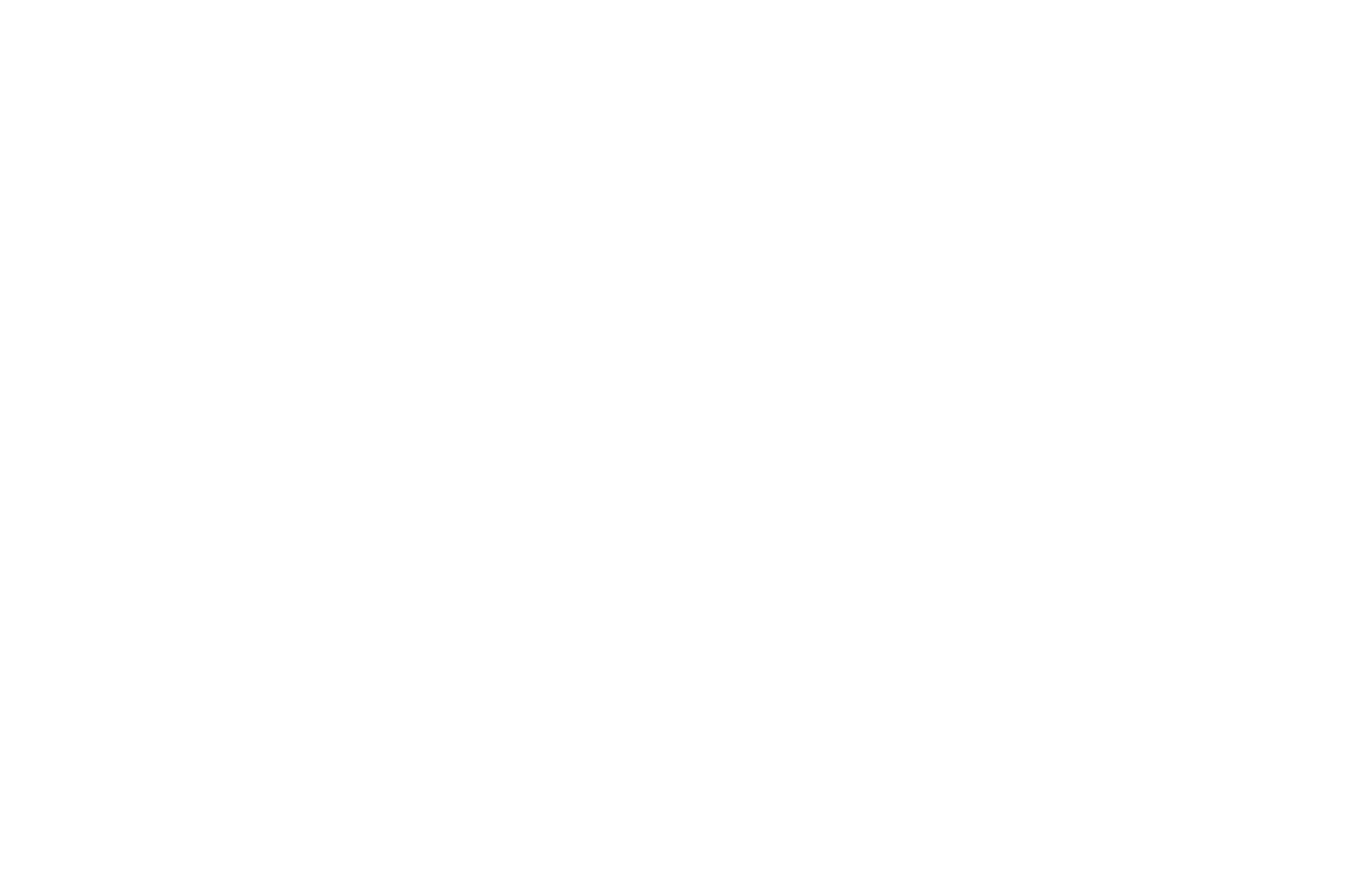 Main Logo